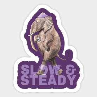 Slow & Steady Sticker